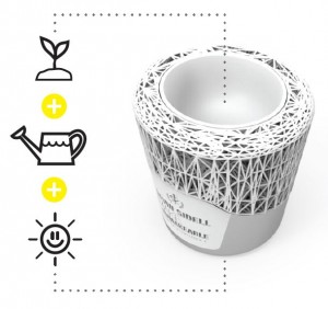 Trophy With Instructional Graphics X