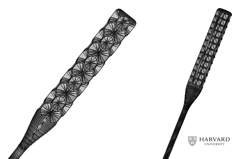 Harvard Abiogenixswabnubs