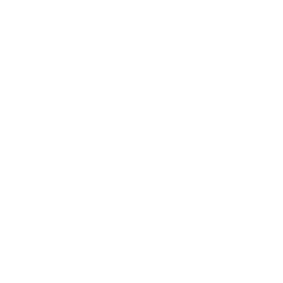 3D Printing Services capability icon