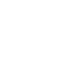 Inspection Services capability icon