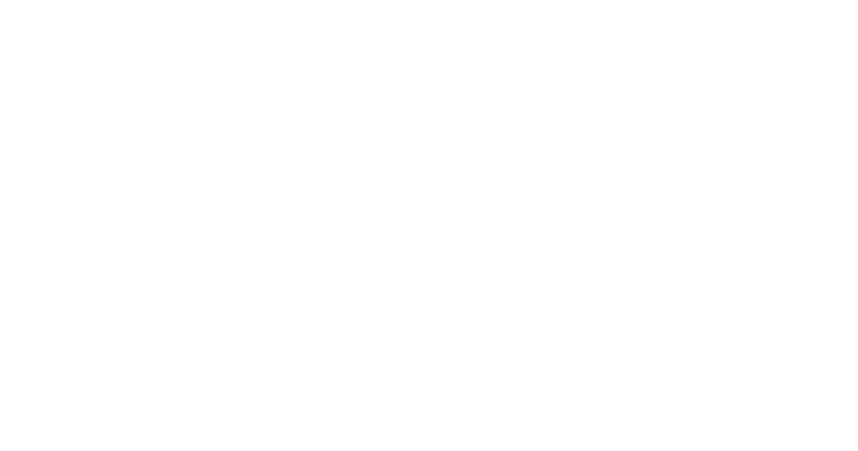 Form Energy