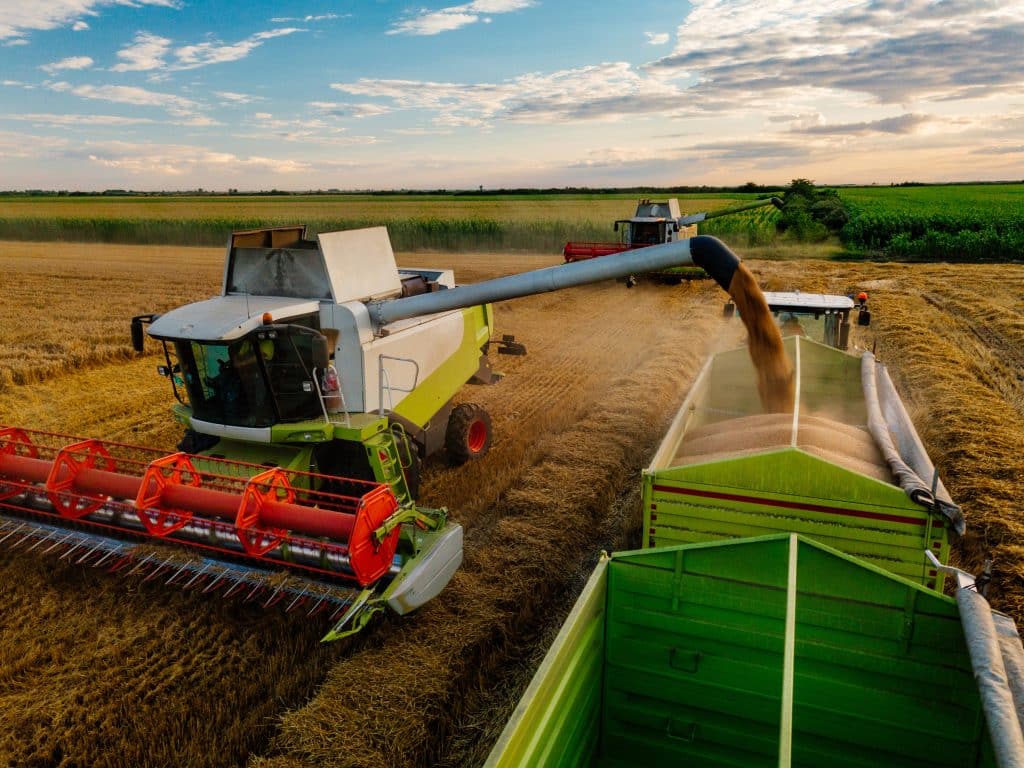 Hard work during the harvest